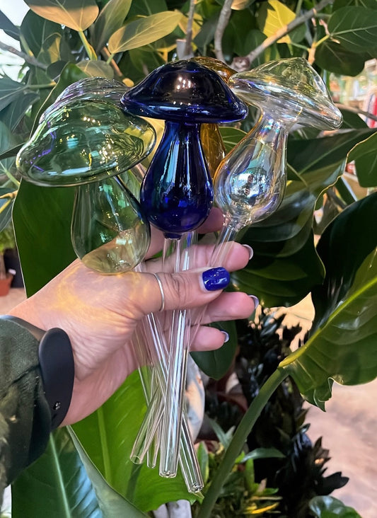 Mushroom Glass Watering Globe